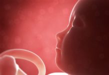 Prospettive dall’interno: storia di un bambino nell’utero