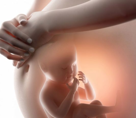L’importanza dell’olfatto fin dalla vita intrauterina