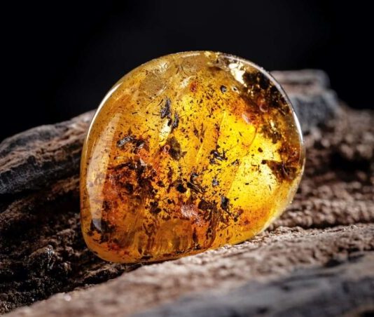 L’ambra, spugna energetica per bonificare l’energia dell’ambiente