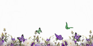 Lo yoga un alleato sempre a disposizione