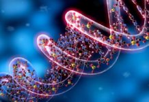 Epigenetica e gravidanza