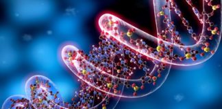 Epigenetica e gravidanza