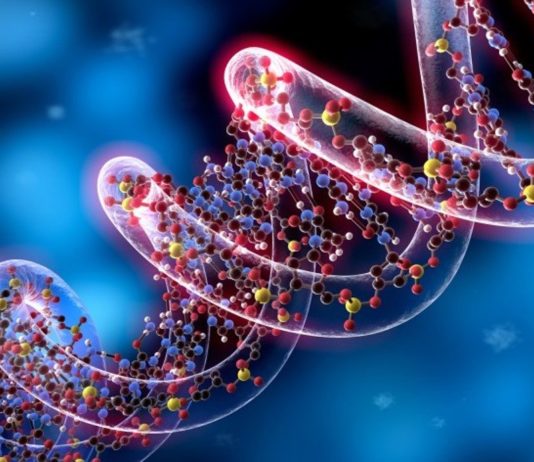 Epigenetica e gravidanza