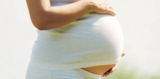 Curare le radici per dar vita a un nuovo virgulto