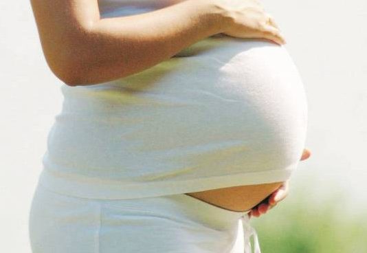 Curare le radici per dar vita a un nuovo virgulto