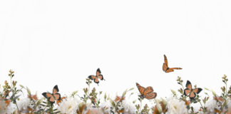 Il tempo di decidere