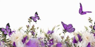 Osteopatia – I cambiamenti del corpo in gravidanza. I test di valutazione dell’osteopata