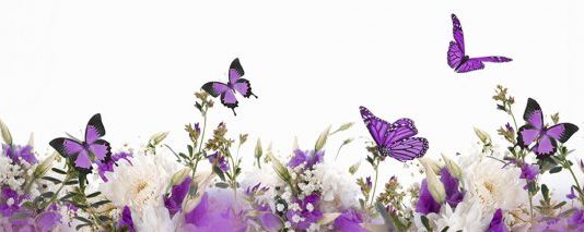 Osteopatia – I cambiamenti del corpo in gravidanza. I test di valutazione dell’osteopata