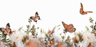 Da coppia a famiglia