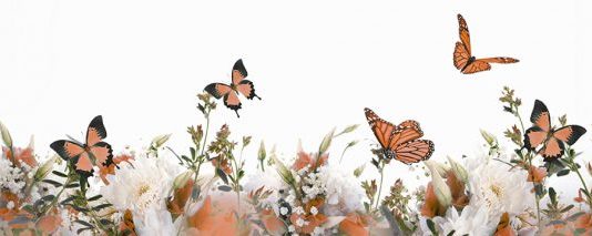 Da coppia a famiglia